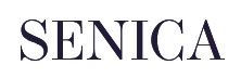 Law Firm Senica & Partners